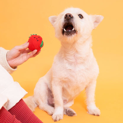 the furryfolks - Cherry Tomato Such- und Zerrspielzeug für Hunde - OSSO BLU