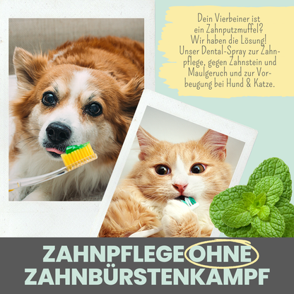 NOMS+ - Dentalspray bei Zahnstein für Hunde und Katzen