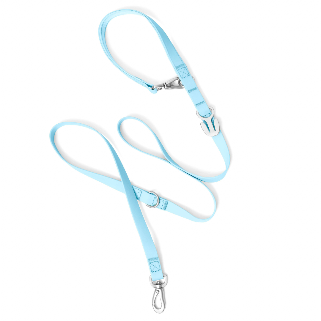 Springland Pets - Premium wasserdichte 1,5 m Hundeleine mit gepolstertem Griff (4er-Pack) - OSSO BLU