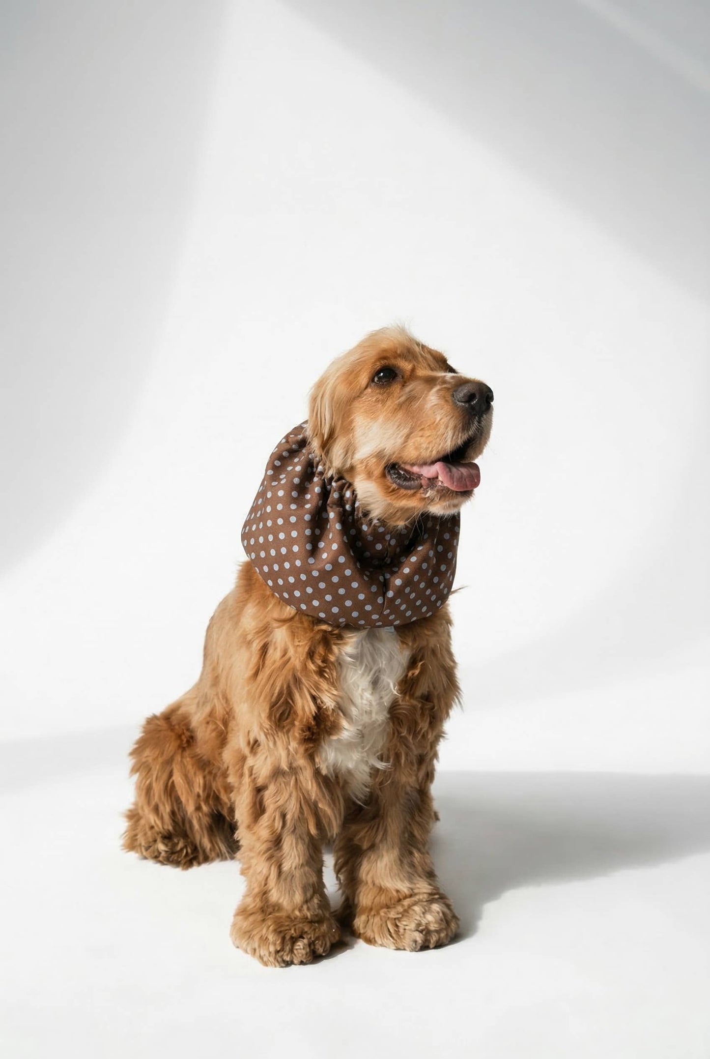 Lou and co. - Hundesnood braun mit Punkten - OSSO BLU