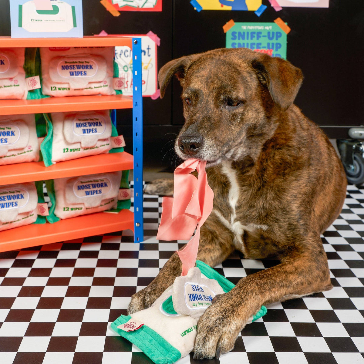 the furryfolks - Doggo Wipe Nasenarbeits-Spielzeug - OSSO BLU
