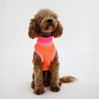 LUMIIES – Glow Jumper 2.0 Hundepullover Sunny Tangerine