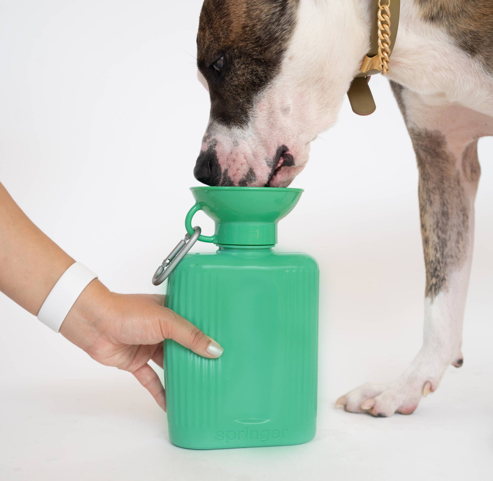 SPRINGLAND PETS – Hundereise-Wasserflasche Growler 1,3 L (ohne Silikon-Klappschale) - OSSO BLU