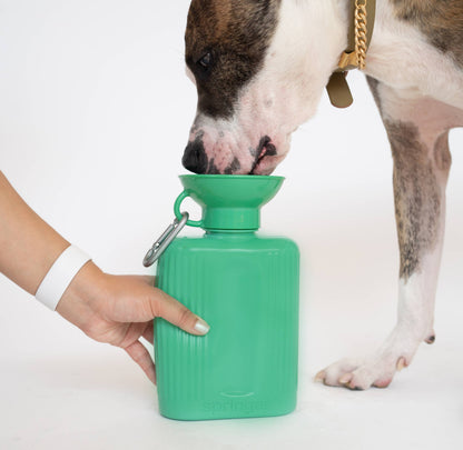 SPRINGLAND PETS – Hundereise-Wasserflasche Growler 1,3 L (ohne Silikon-Klappschale) - OSSO BLU
