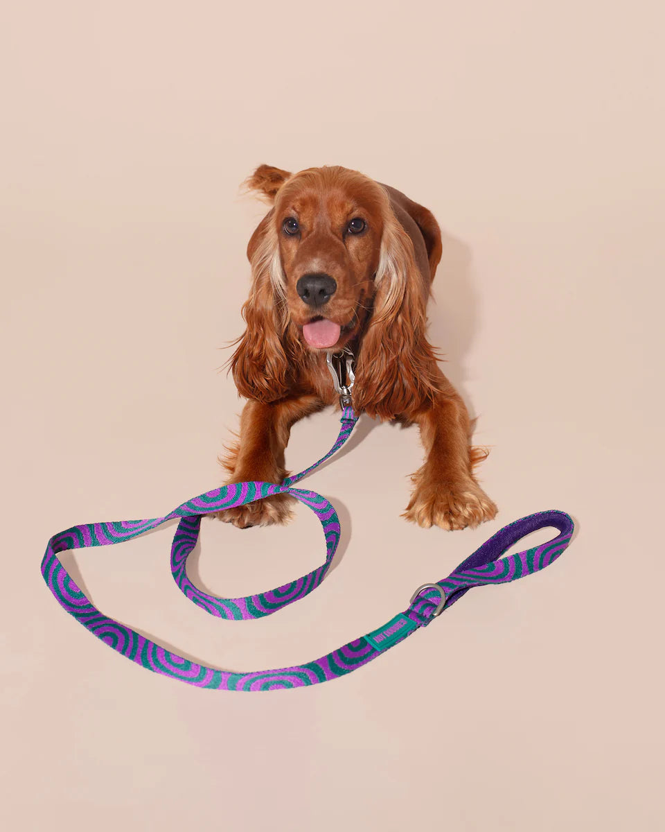 HOT DOGGIES - Leine „Lola Groove“