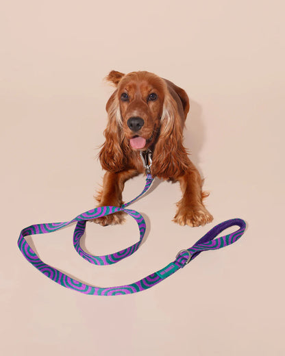 HOT DOGGIES - Leine „Lola Groove“
