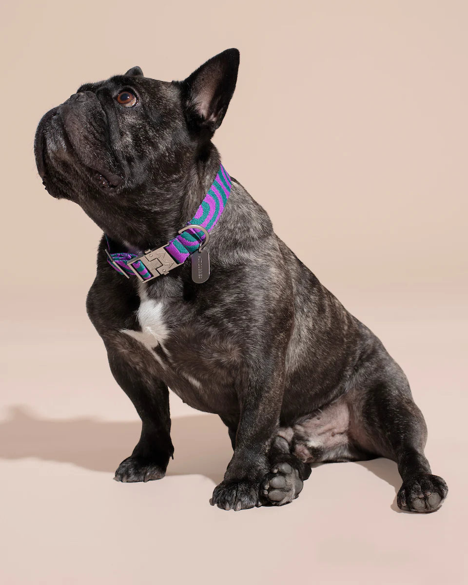HOT DOGGIES - Halsband „Lola Groove“