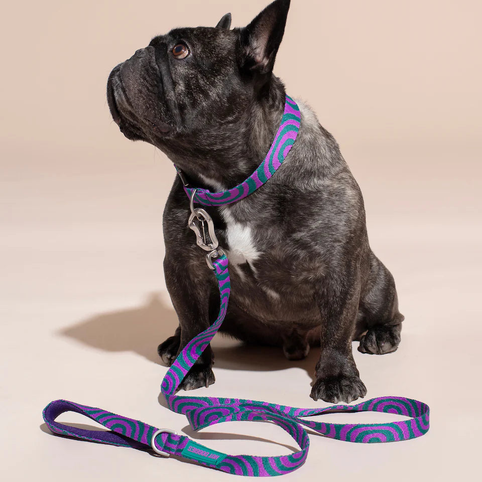 HOT DOGGIES - Halsband „Lola Groove“