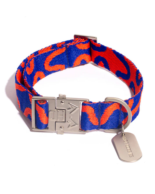 HOT DOGGIES - Halsband „Rocky Electric“