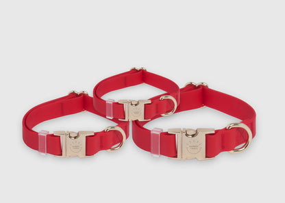 SUNNY TAILS - Wasserdichtes Hundehalsband - Cherry Red