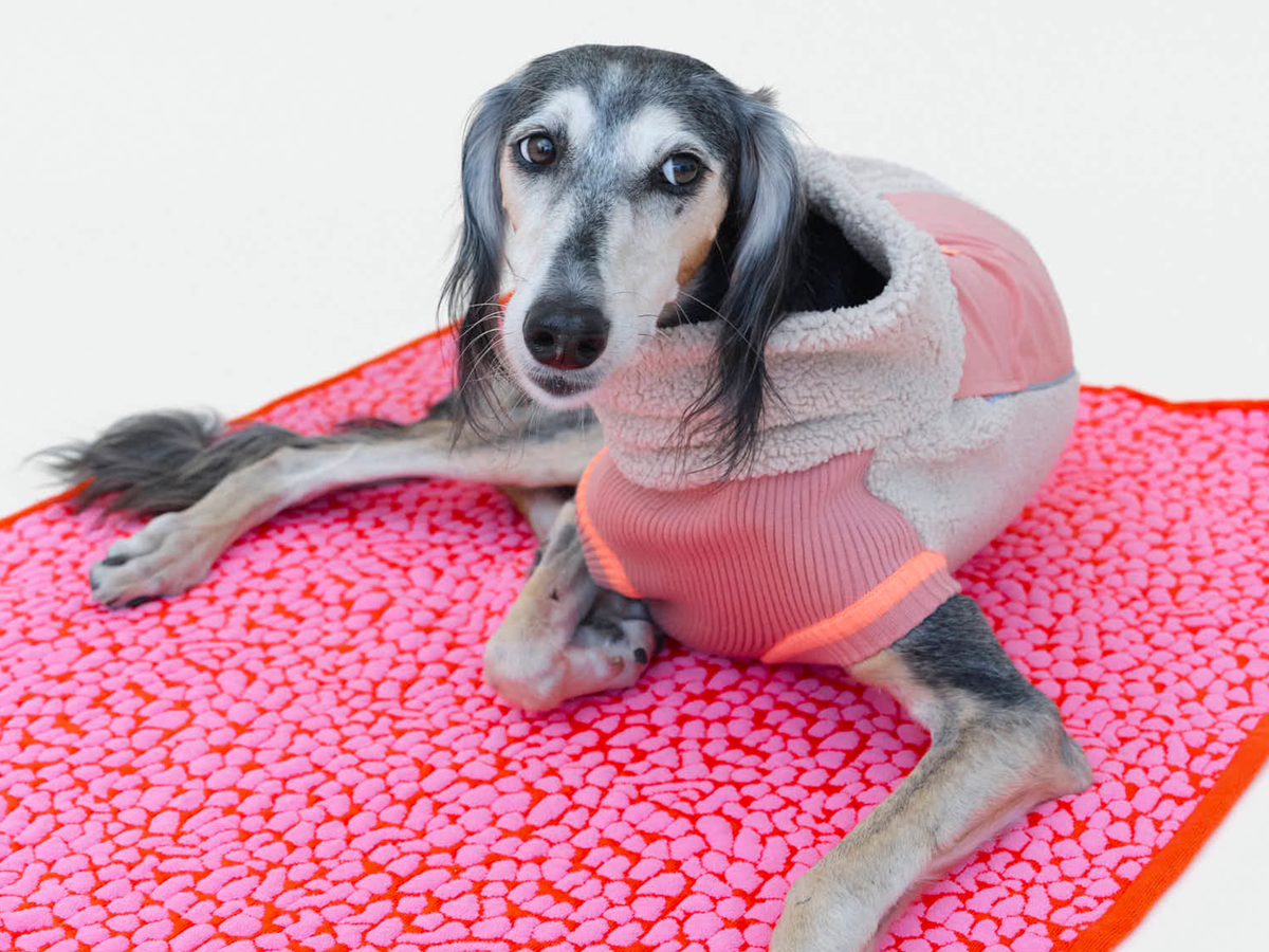 LUMIIES - THE STUDIO BLANKET – Ultraweiche Hundedecke | Pink Lava - OSSO BLU