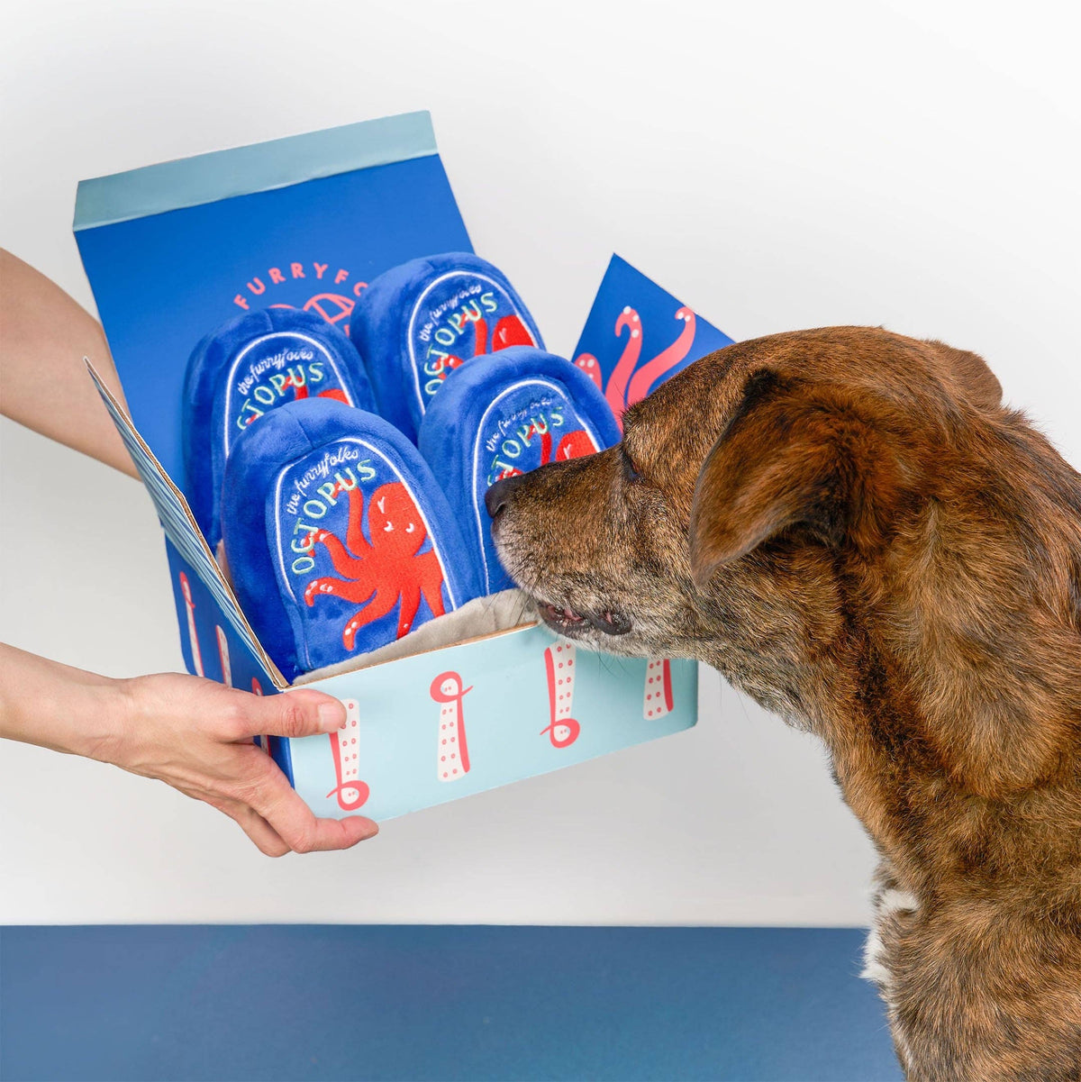 the furryfolks - Nasenteppich Spielzeug mit Oktopus aus der Dose - OSSO BLU