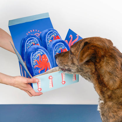 the furryfolks - Nasenteppich Spielzeug mit Oktopus aus der Dose - OSSO BLU