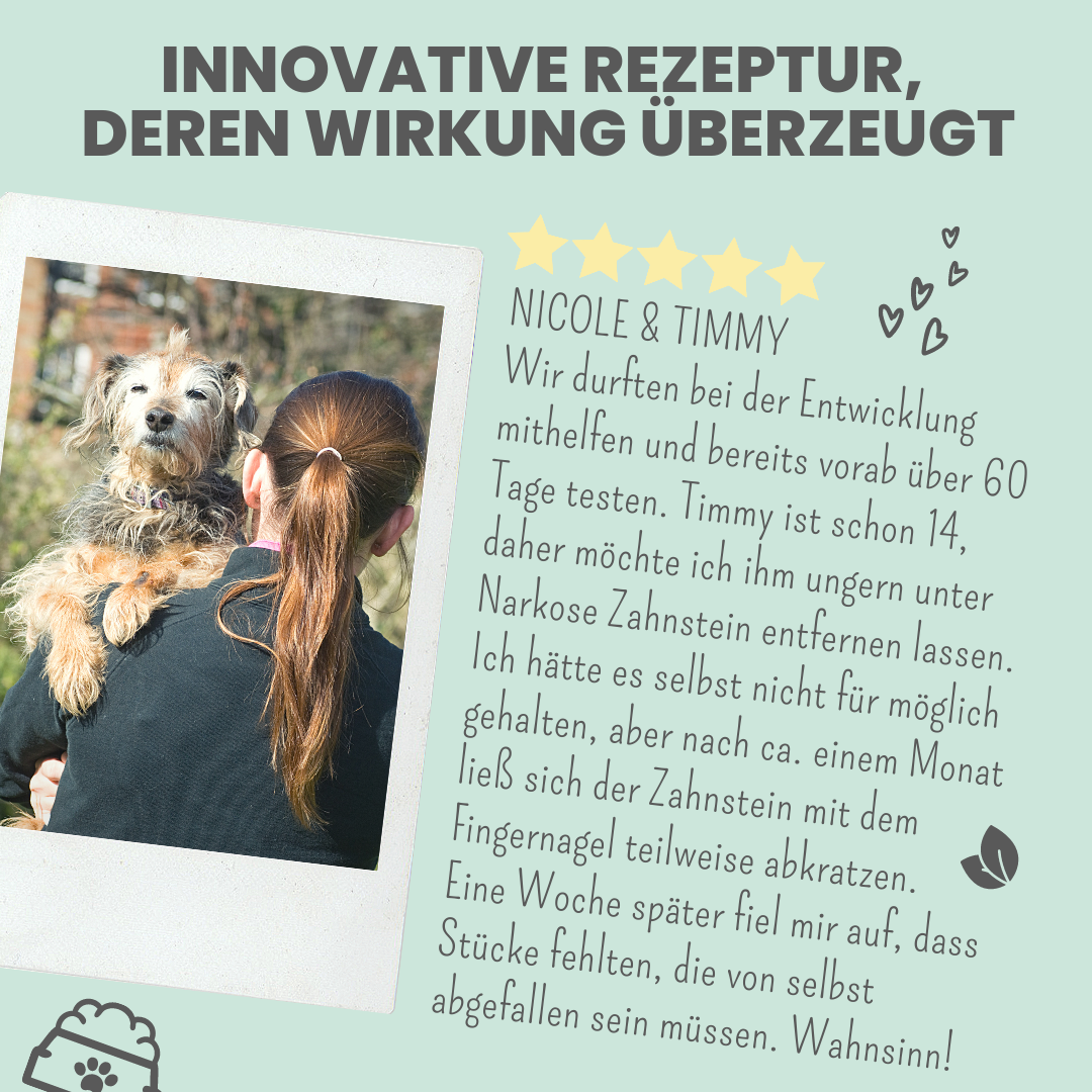 NOMS+ - Dentalspray bei Zahnstein für Hunde und Katzen