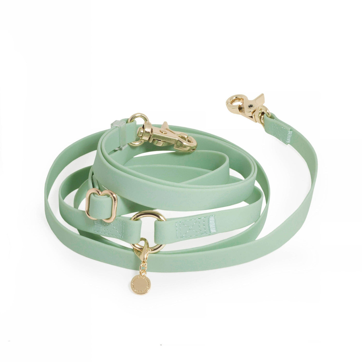 SUNNY TAILS - 4-in-1 Convertible & Multifunctional Dog Leash - Pistachio Green