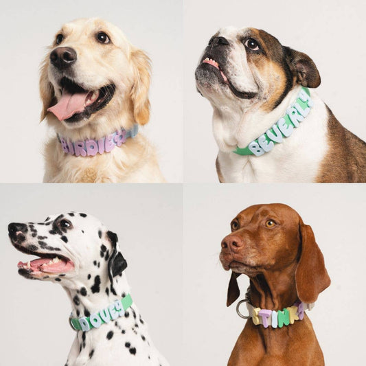 Springland Pets - Silikon-Hundecharm-Anhänger für Hundehalsband/Leine/Flasche (63 Anhänger) - OSSO BLU