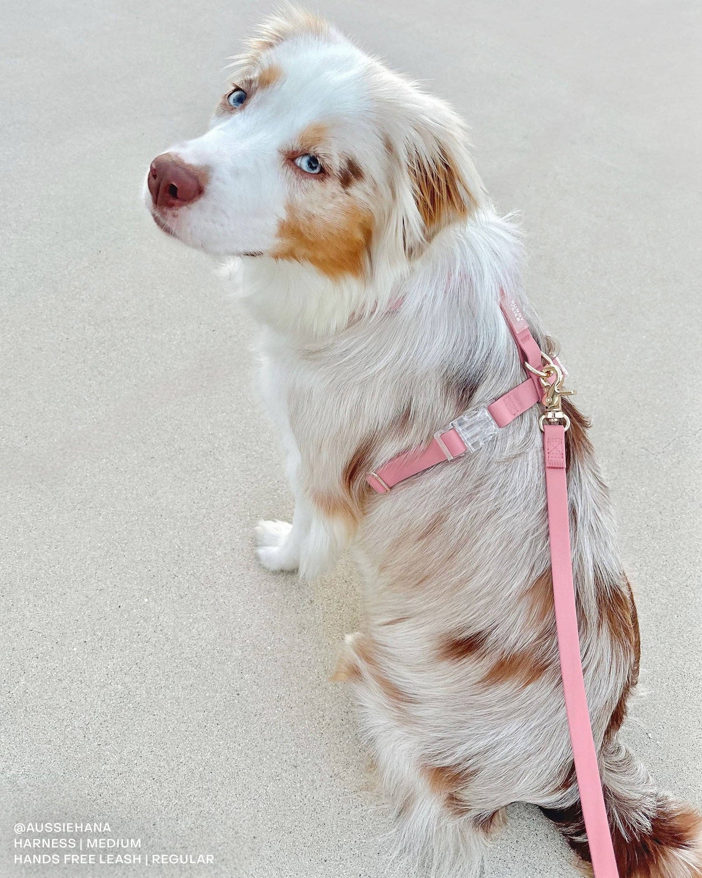 SUNNY TAILS - Wasserdichte Hundeleine - Perfect Pink