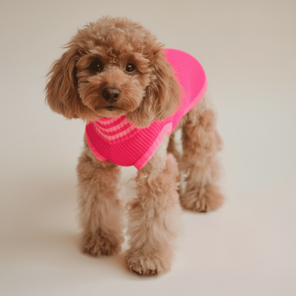 LUMIIES – Glow Jumper 2.0 Hundepullover Pink Parade