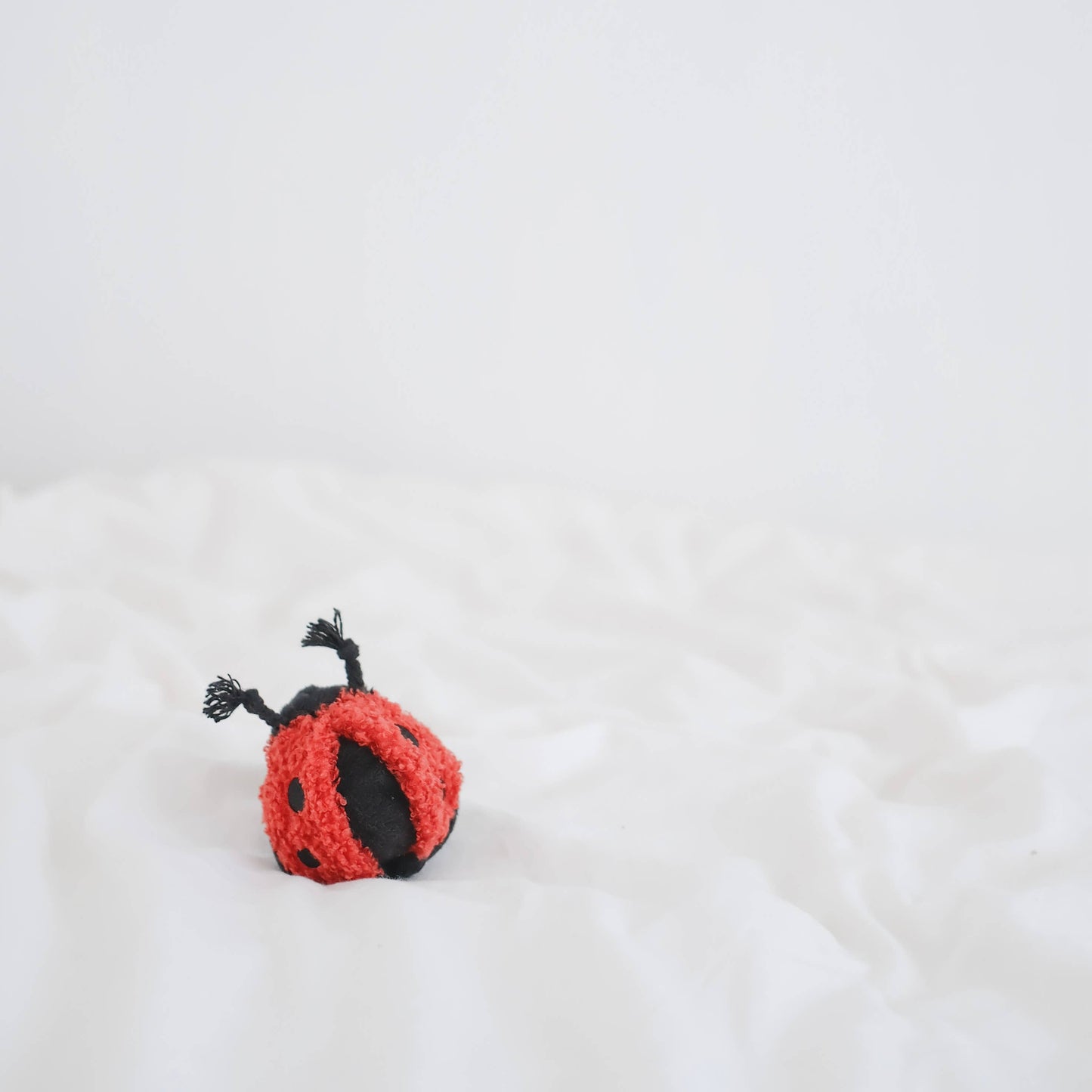 LAMBWOLF COLLECTIVE - LADYBUG POP Schnüffelspielzeug - OSSO BLU