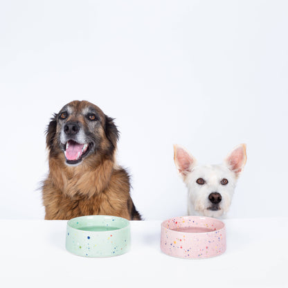 EGG BACK HOME – New Party Dog Bowls (Set of 2, White &amp; Pink)