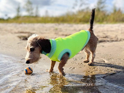 LUMIIES – Glow Jumper 2.0 Hundepullover Neon Matcha