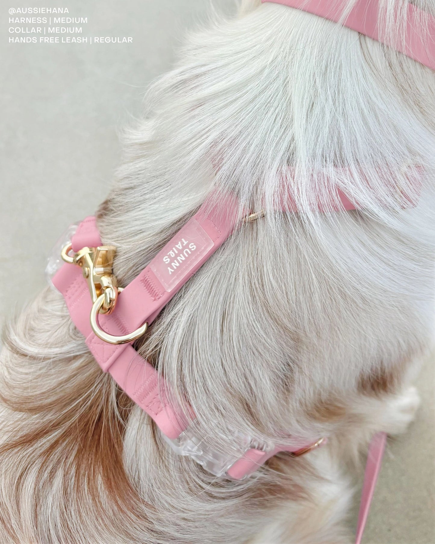 SUNNY TAILS - Wasserdichtes Hundegeschirr - Perfect Pink