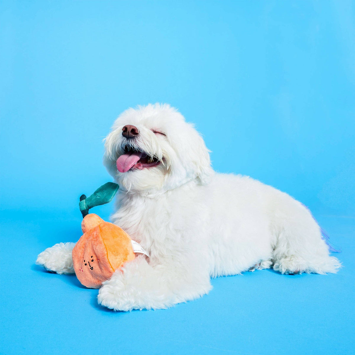 the furryfolks - Orange Nosework-Spielzeug für Hunde - OSSO BLU