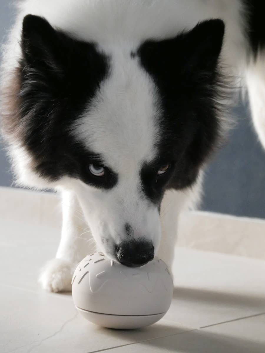 INOOKO – Yoomy Donut Schleckmatte & Beschäftigungsspielzeug für Hunde – Sand