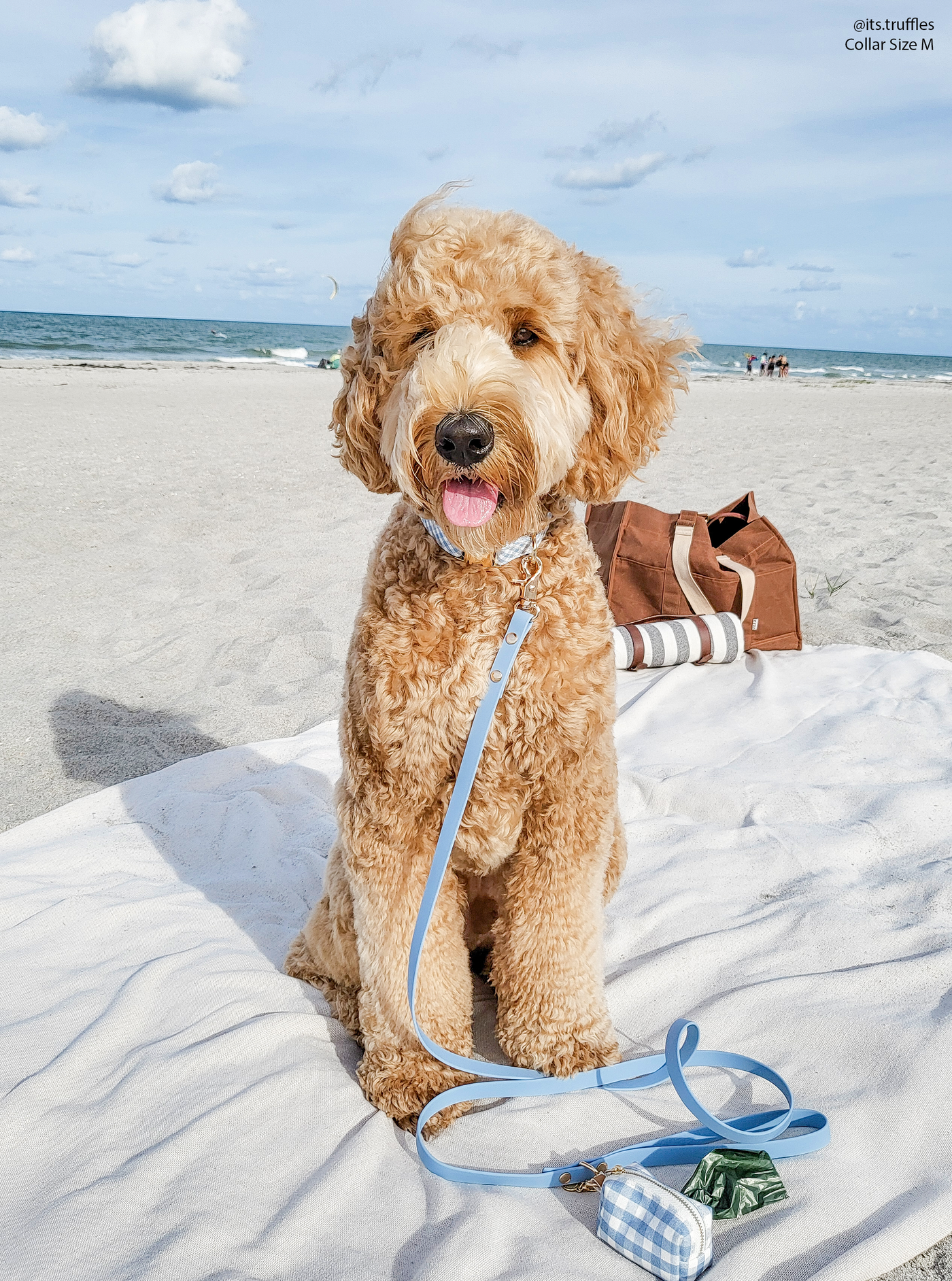 SUNNY TAILS - Wasserdichte Hundeleine - Malibu Blue