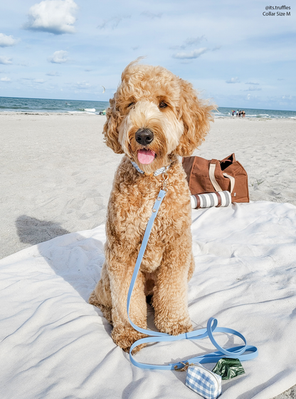 SUNNY TAILS - Hundeleine Wasserdicht - Malibu Blau | 4 ft, 5 ft, 6 ft - OSSO BLU