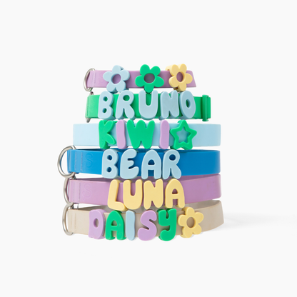 Springland Pets - Wasserdichtes & Verstellbares Hundehalsband (6er Pack) - OSSO BLU