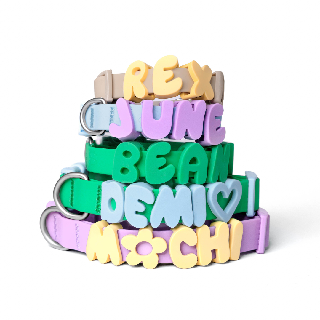 Springland Pets - Wasserdichtes & Verstellbares Hundehalsband (6er Pack) - OSSO BLU