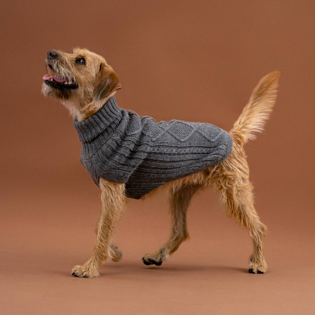 Alqo Wasi - Alqo Wasi Aran-Strick Alpaka-Hundepullover: XS / Lavender - OSSO BLU