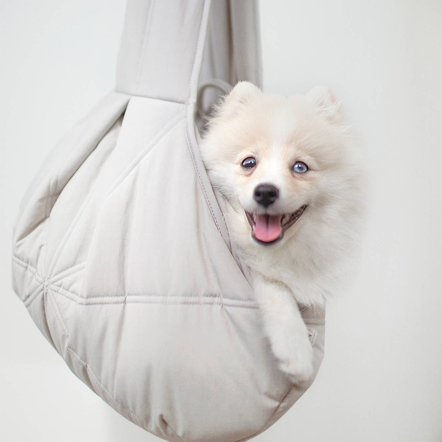LAMBWOLF COLLECTIVE - OLLA Tragetasche für Hunde - Koala - OSSO BLU