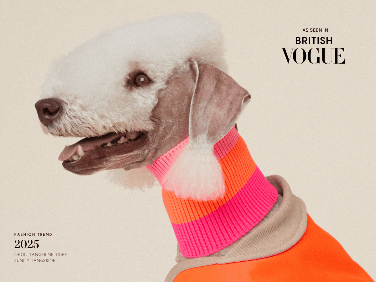 LUMIIES – Glow Loop 2.0 Hundeschal Sunny Tangerine