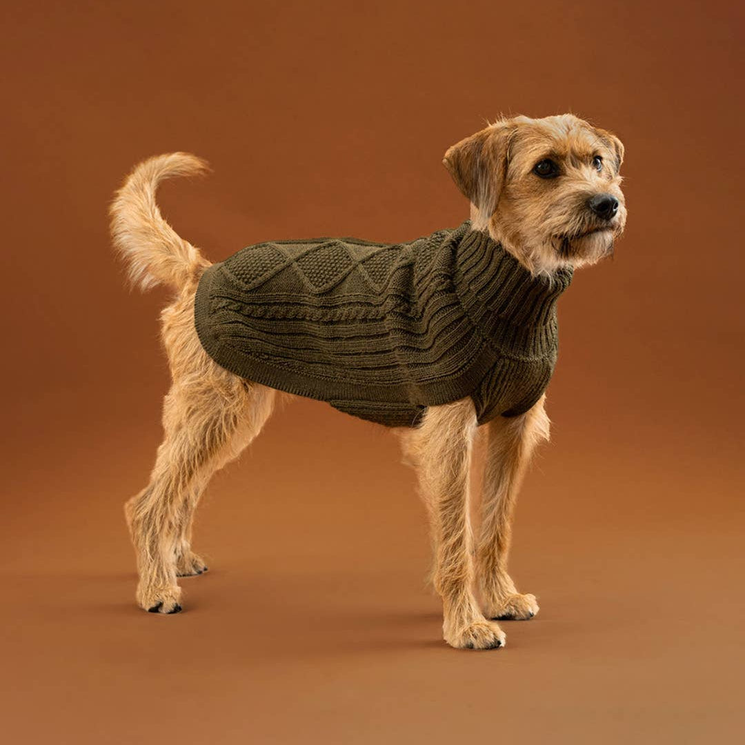 ALQO WASI – Aran Knit Alpaka-Hundepullover Forest Green