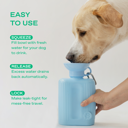 SPRINGLAND PETS – Hundereise-Wasserflasche Growler 1,3 L (ohne Silikon-Klappschale) - OSSO BLU