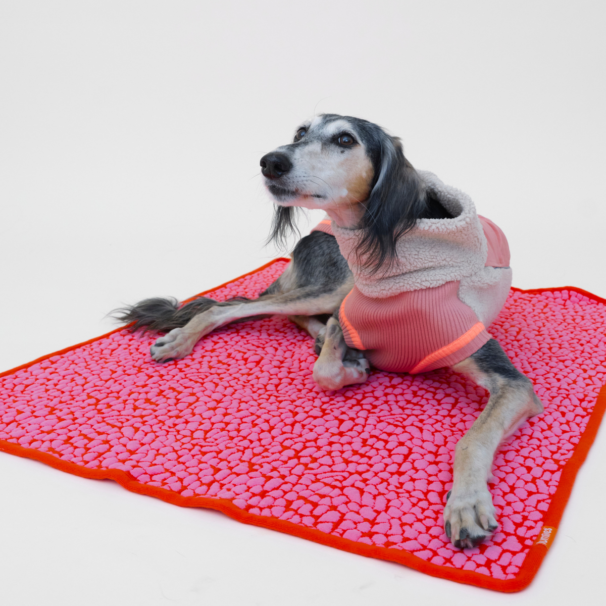 LUMIIES - THE STUDIO BLANKET – Ultraweiche Hundedecke | Pink Lava - OSSO BLU