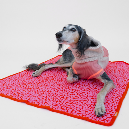 LUMIIES - THE STUDIO BLANKET – Ultraweiche Hundedecke | Pink Lava - OSSO BLU