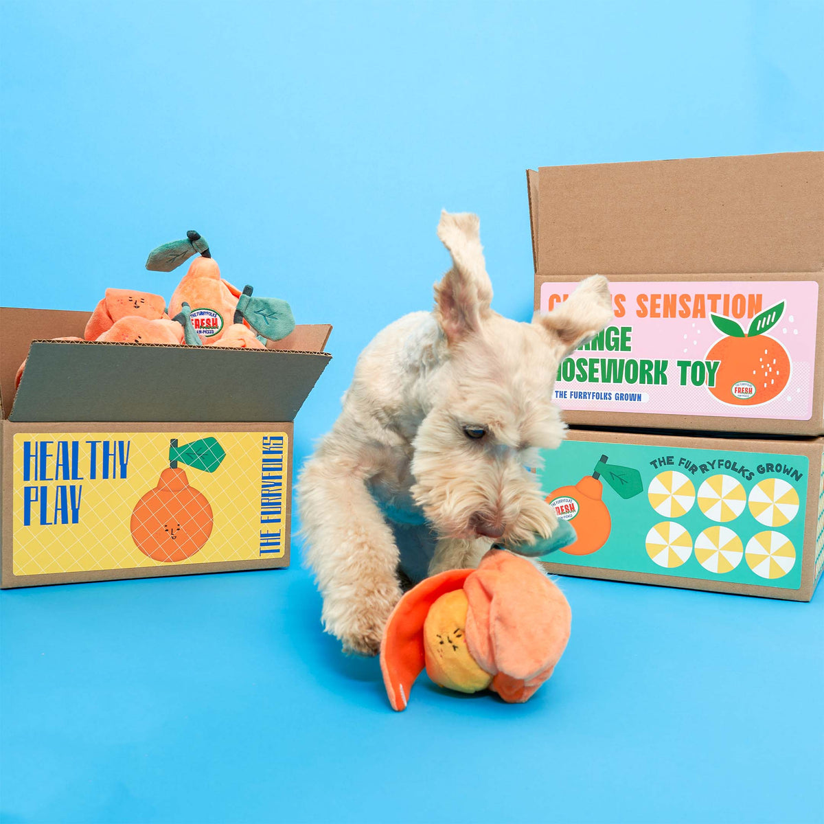the furryfolks - Orange Nosework-Spielzeug für Hunde - OSSO BLU