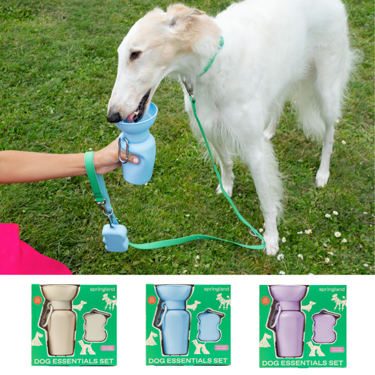 SPRINGLAND PETS - Geschenkbox-Set für Hunde - OSSO BLU