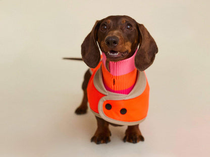 LUMIIES – Glow Raincoat Mini-Fit Hunderegenmantel Neonorange