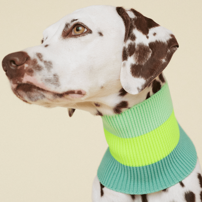 LUMIIES – Glow Loop 2.0 Hundeschal Neon Matcha