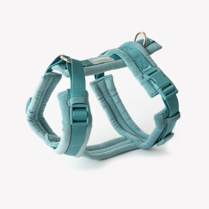 FURLOU – Samt Hundegeschirr Blue