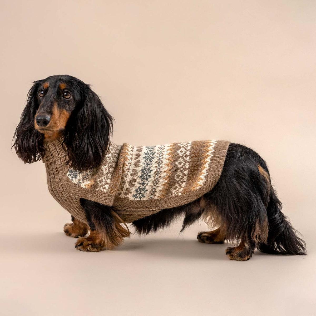 ALQO WASI – Fall Medley Alpaka-Hundepullover Brown