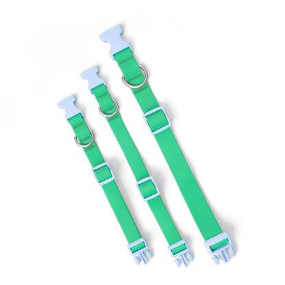 Springland Pets - Wasserdichtes & Verstellbares Hundehalsband (6er Pack) - OSSO BLU