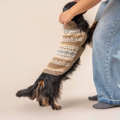 Alqo Wasi - Herbst-Medley Alpaka-Hundepullover: Brown / XS - OSSO BLU