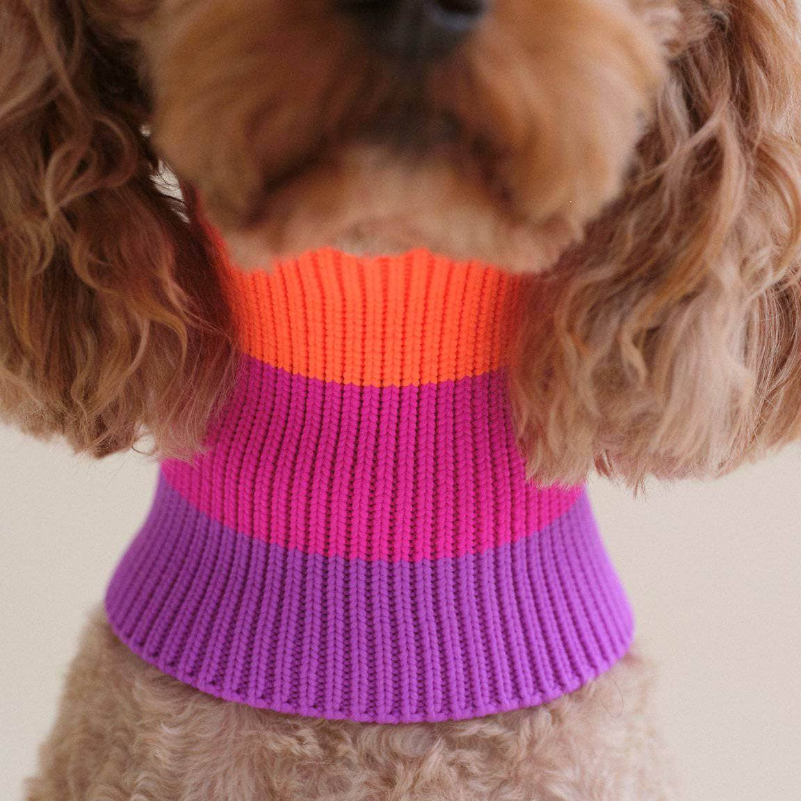 LUMIIES – Glow Loop 2.0 Hundeschal Electric Sunset