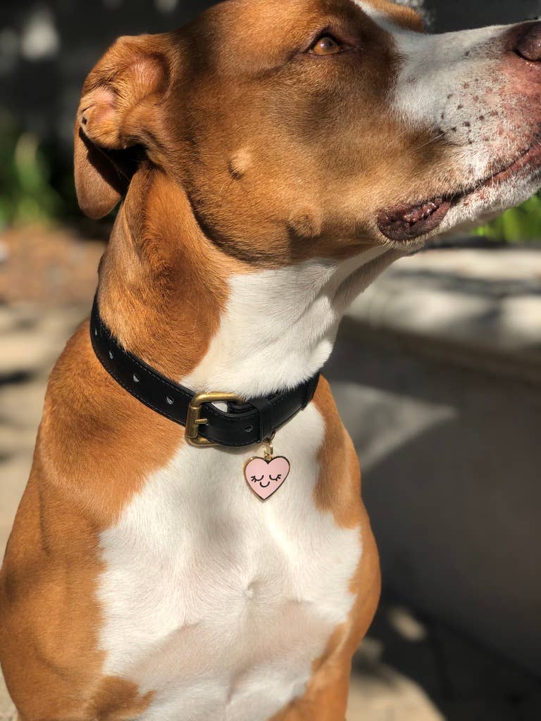 TWO TAILS PET COMPANY - Smiling Heart Pet ID Tag