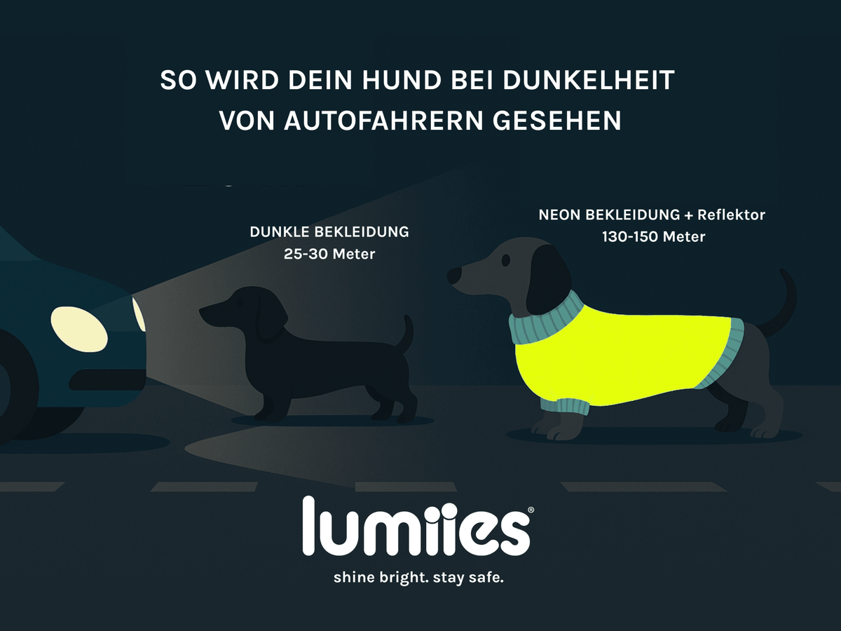 LUMIIES – Glow Raincoat Mini-Fit Hunderegenmantel Neongelb